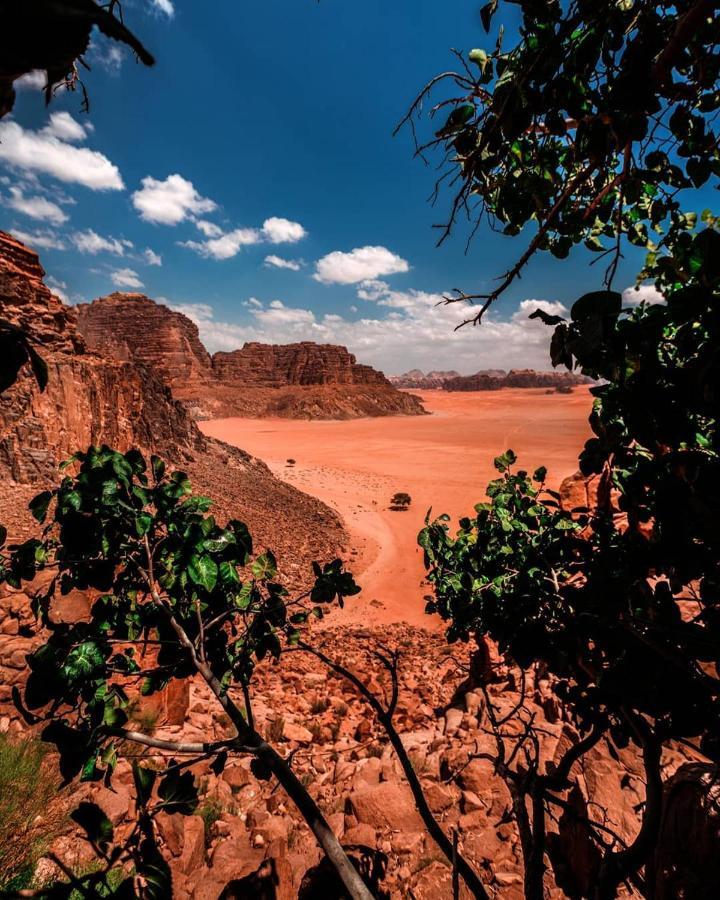 Golden Day Hotel Wadi Rum Exterior foto